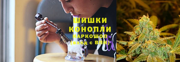 a pvp Бородино