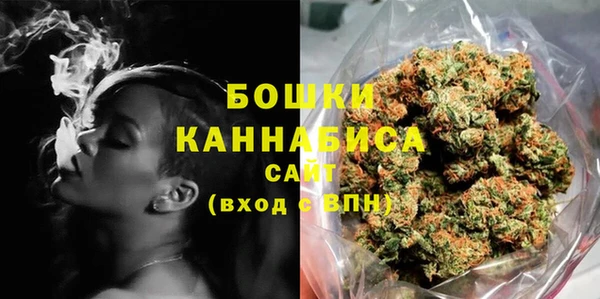 a pvp Бородино