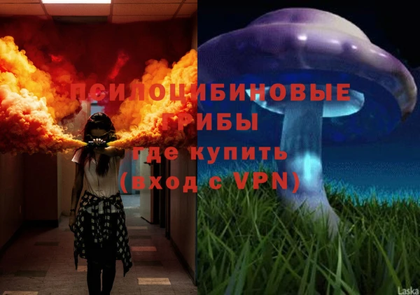 mdpv Сосновый Бор